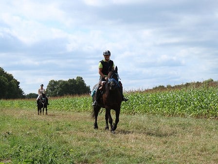 balades cheval seine et marne