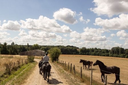 demi pension chevaux