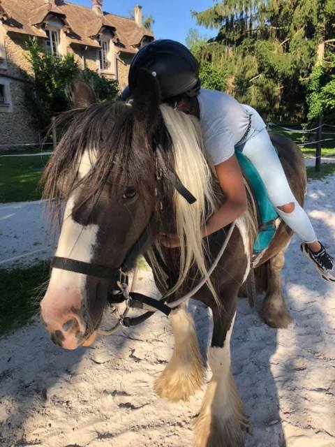 equicie calin cheval