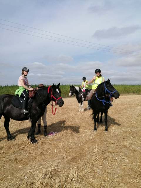 equicie ateliers groupe