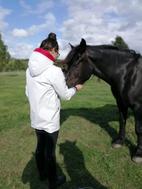 equicie relation cheval