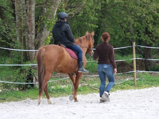 atelier equicie seine et marne