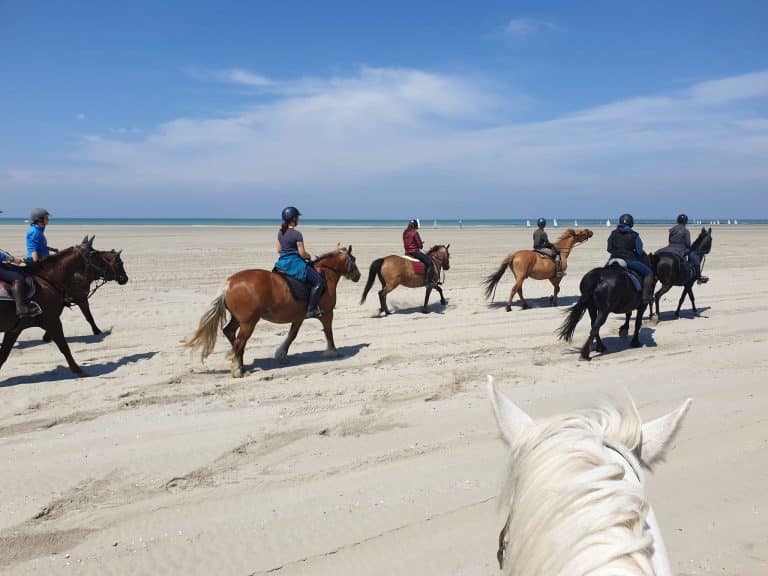 randonnée équestre en baie de somme