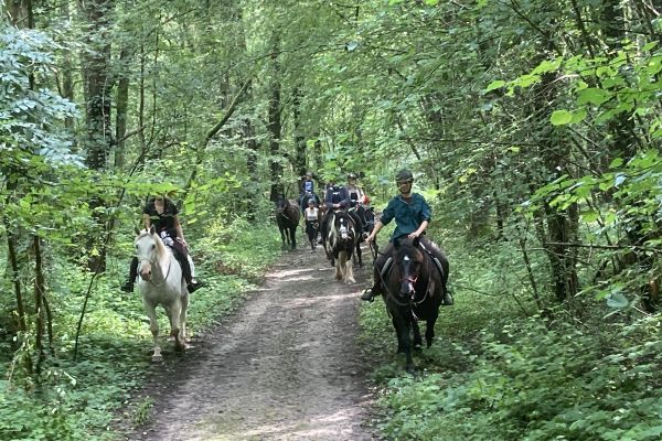 Balade en forêt